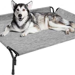 Raised Dog Beds