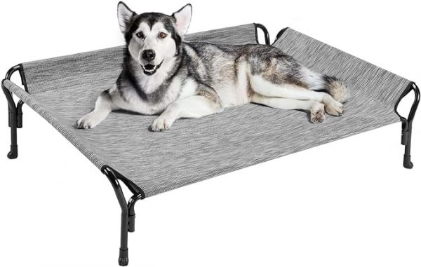 Raised Dog Beds